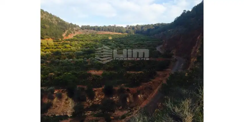 Casa o xalet en venda a DE LA RIBERA, Nuevo Centro