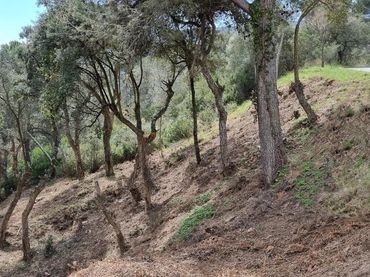 Terreno residenziale in vendita a Eucaliptus 8