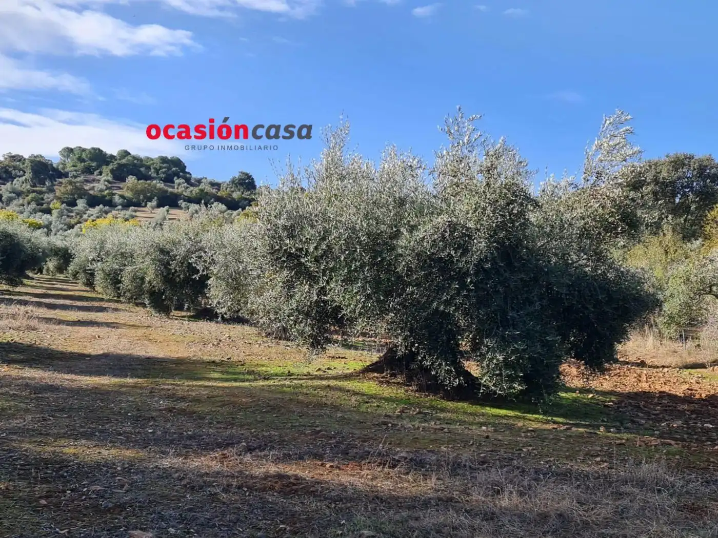 Casa rústica amb jardí en venda a Villanueva del Rey, imagen 11