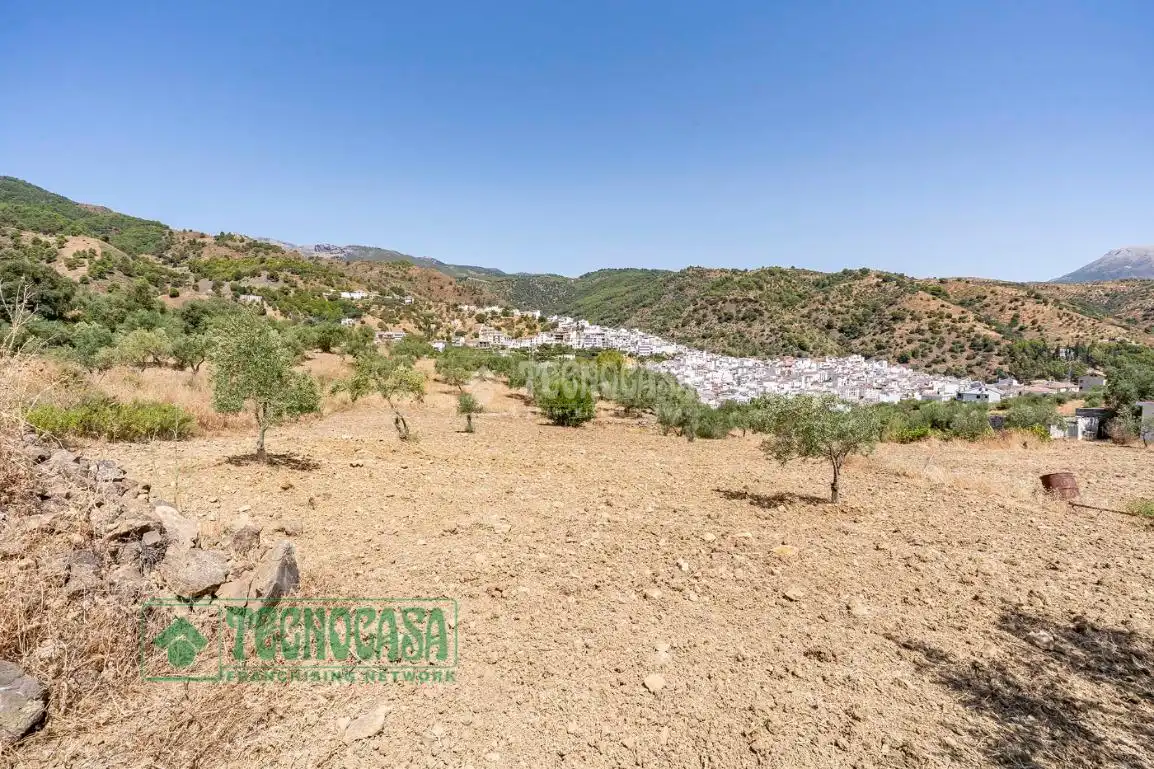 Land for sale in Tolox