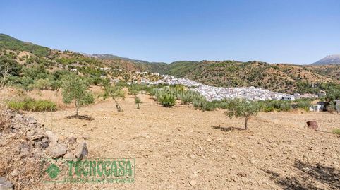 Terrenos en venta en Tolox, imatge 5