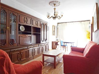 Living room of Flat for sale in Málaga Capital  with Terrace