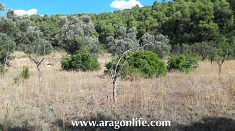 Photo 4 of Country house for sale in N/a, Fabara, Zaragoza