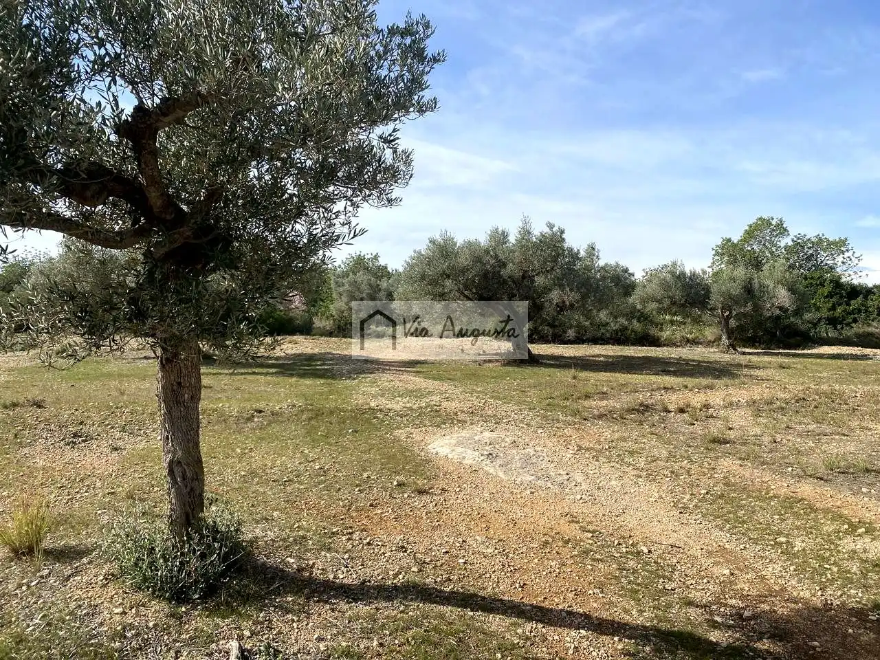 Terreno rustico in vendita a Planas, imagen 28