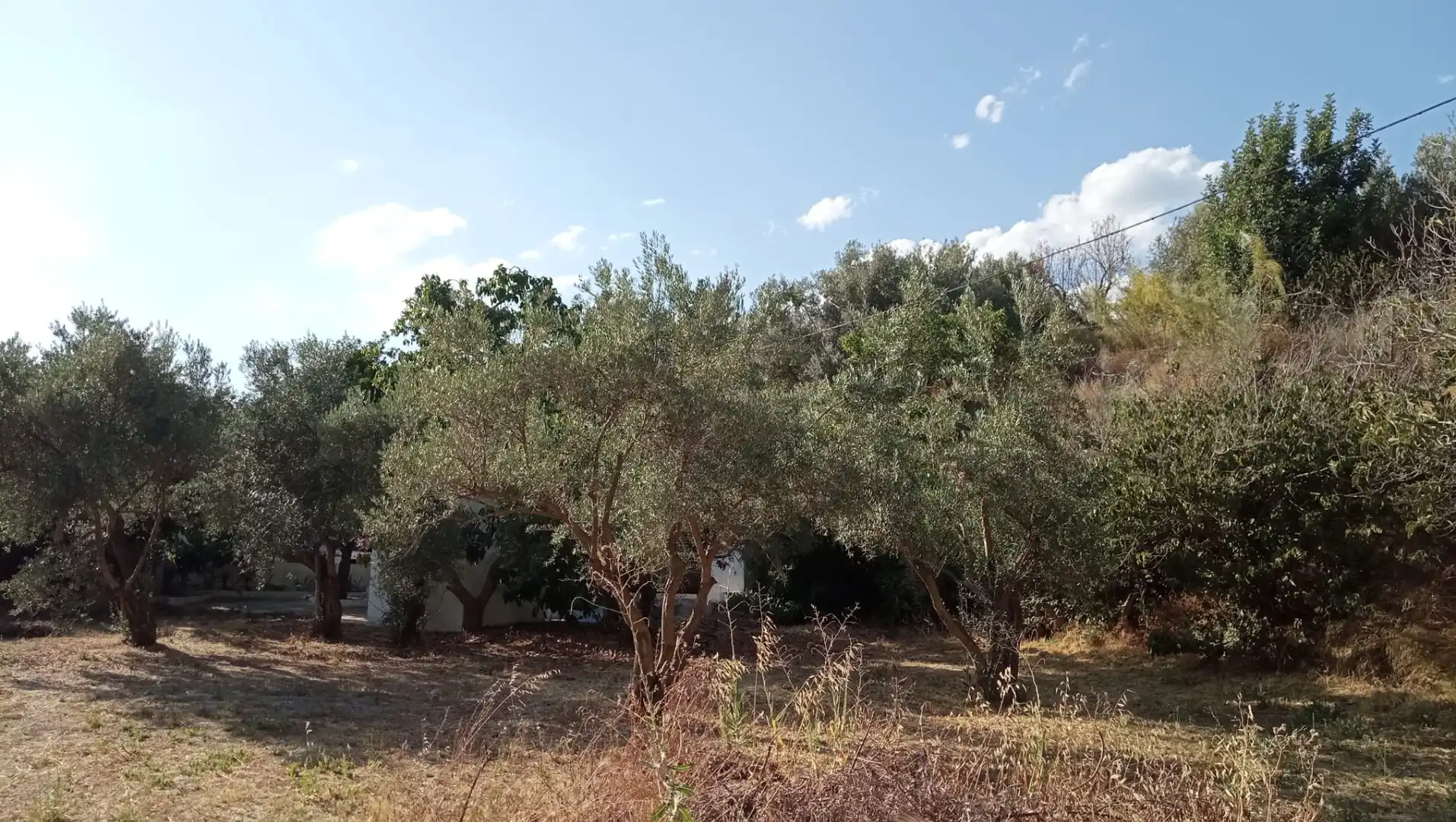 Rural land for sale in Órgiva, imagen 4