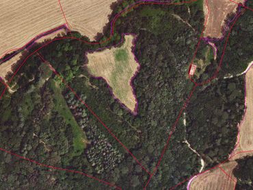 Rural land for sale in Palol de Revardit