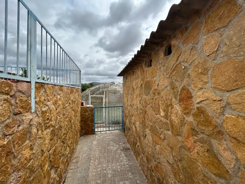 Vista exterior de Finca rústica en venda en Sagunto / Sagunt