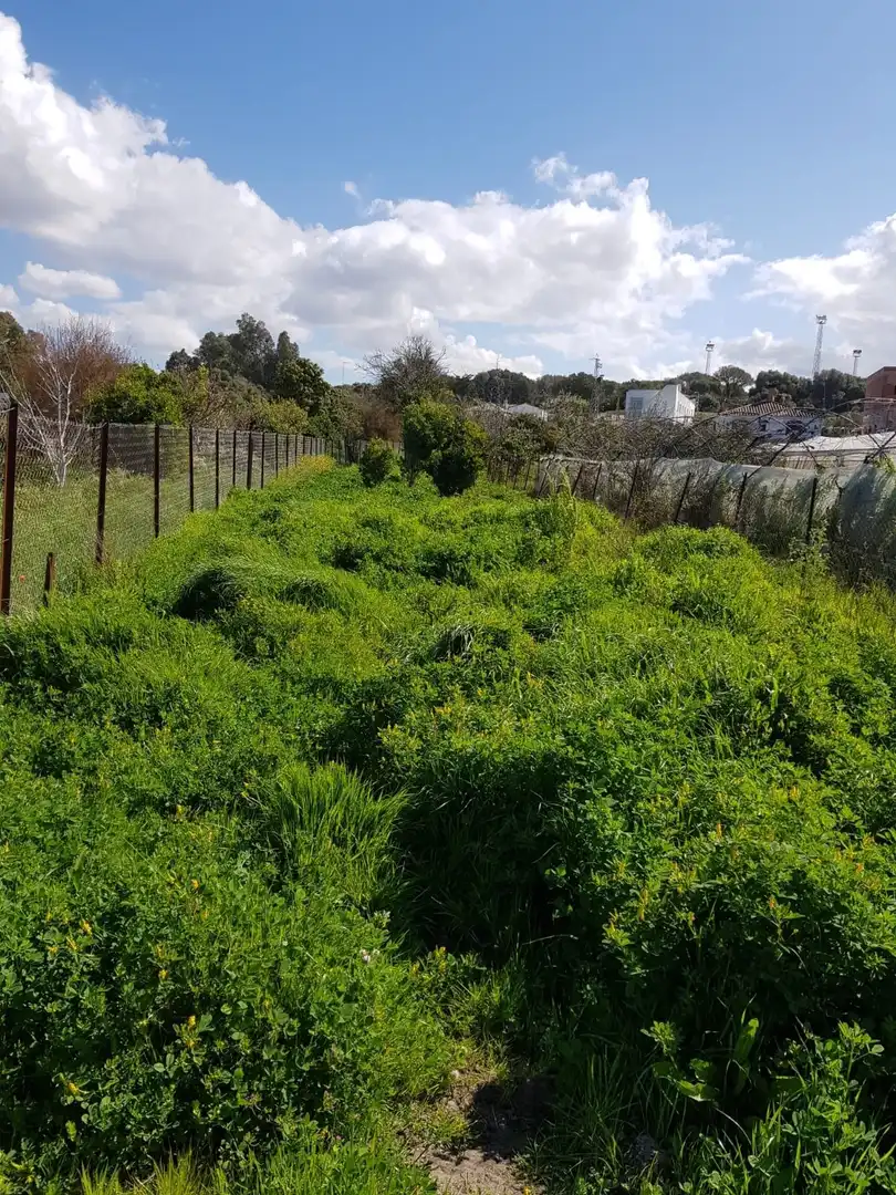 Terreno en venta en Barbate