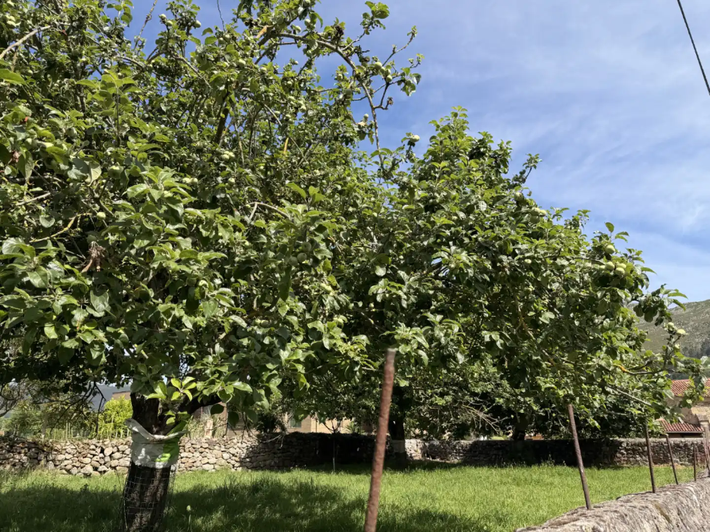 Haus mit Terrasse zum Verkauf in Rivero - Barrio Rivero 37, imagen 40