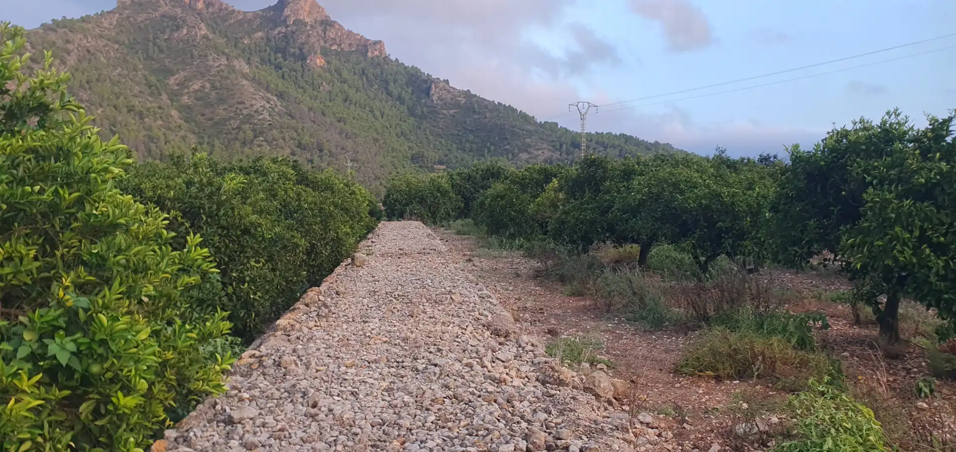 Terreny rústic en venda a Camí Sanchis, imagen 4