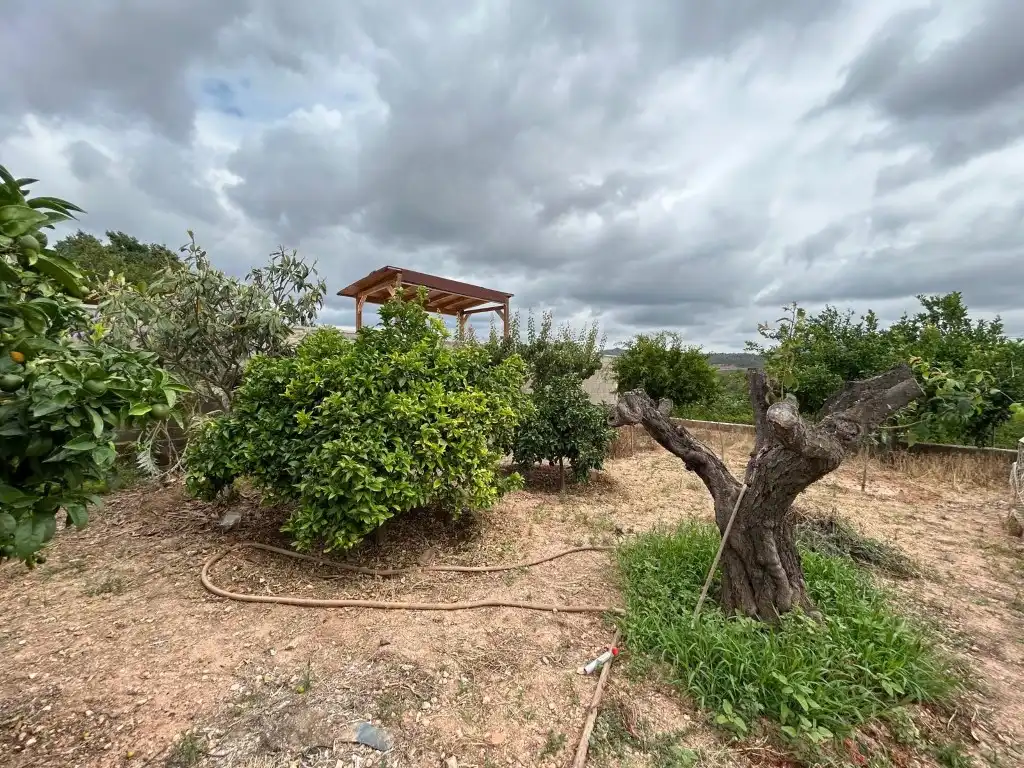 Finca rústica en venda en Sagunto / Sagunt