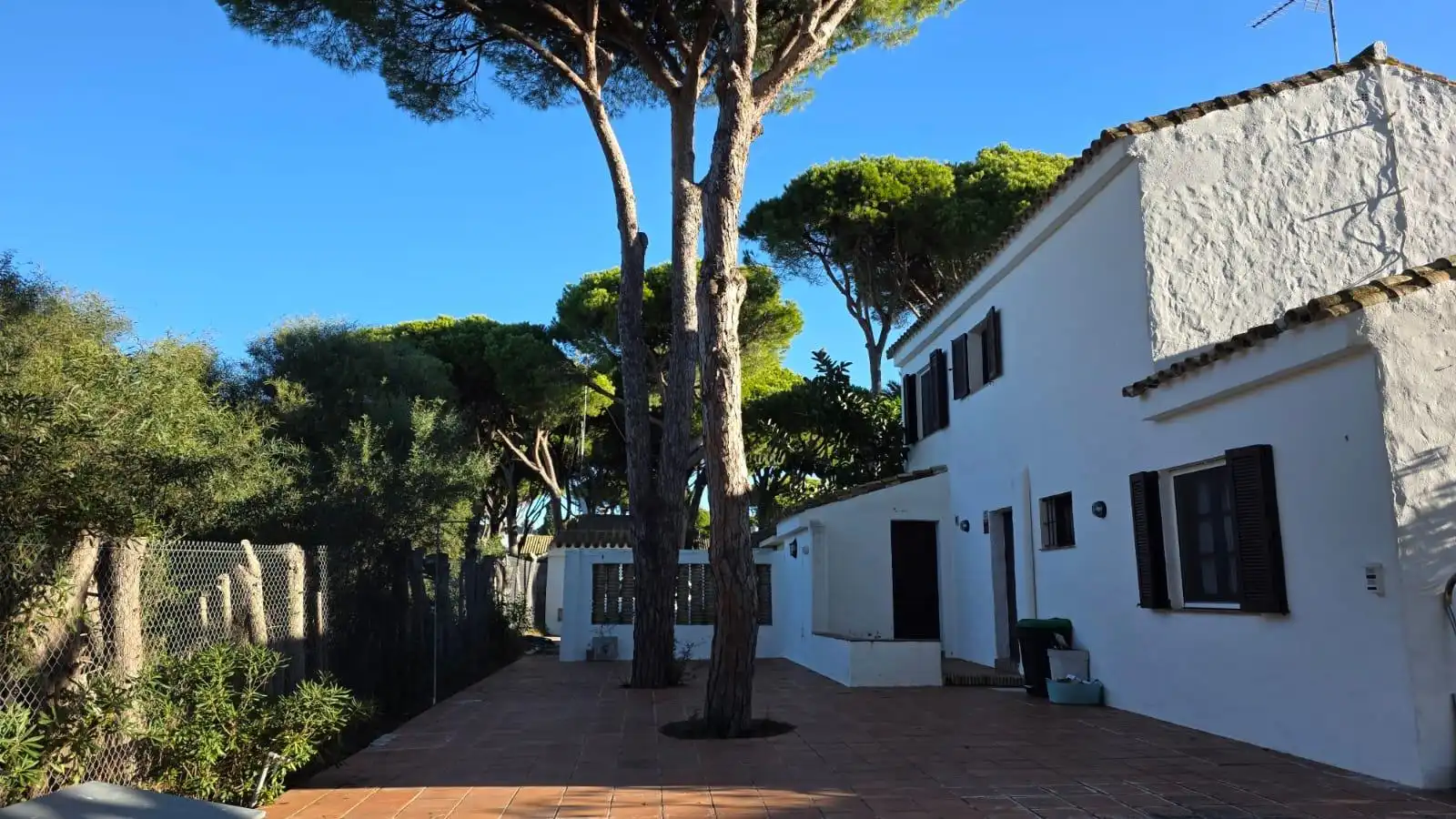 Jardí de Casa o xalet en venda en Chiclana de la Frontera amb Jardí privat i Piscina comunitària