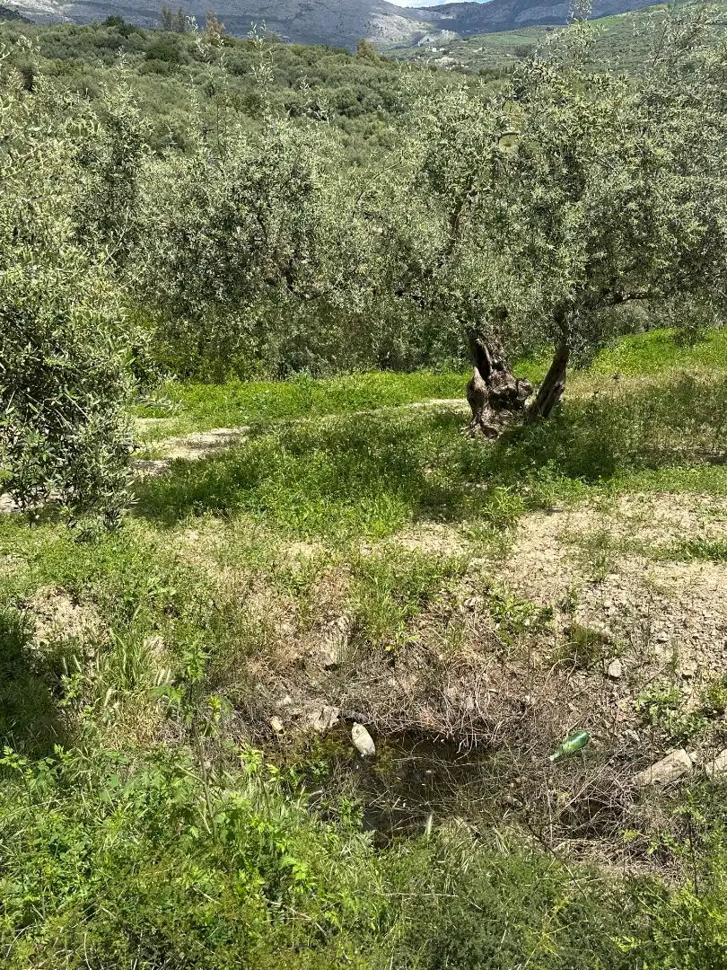 Terreni e lotti in vendita a Periana, imagen 6