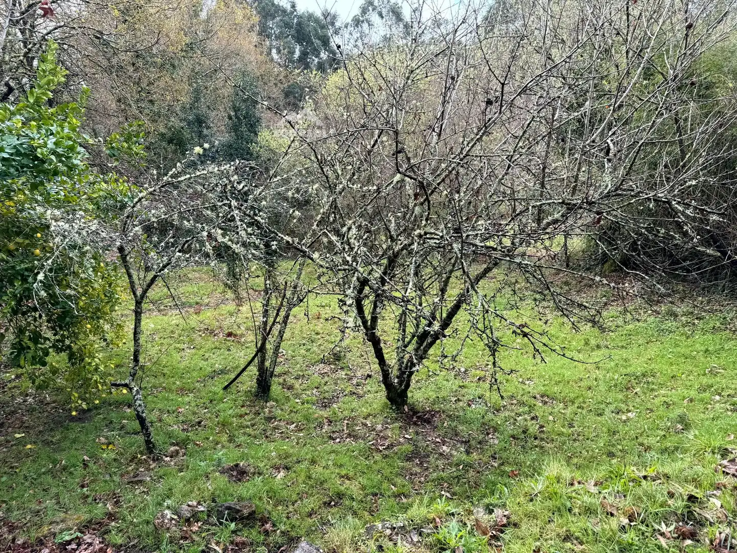 Maison à vendre à A Cañiza, imagen 8