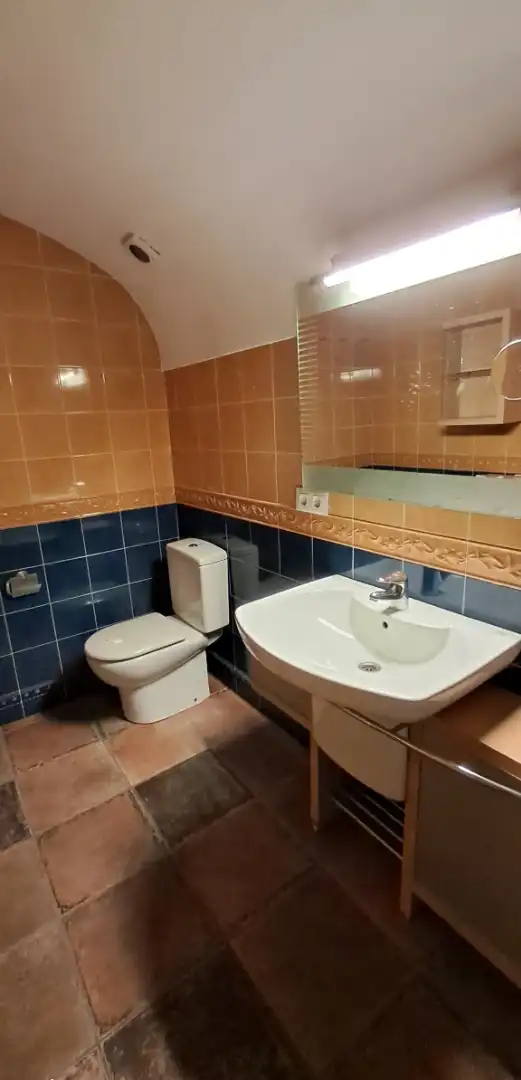 Casa o xalet en venda a Carrer de Sant Esteve, 14, Sant Aniol de Finestres