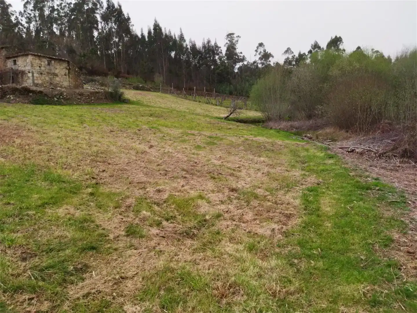 Finca rústica en venta en Cuntis