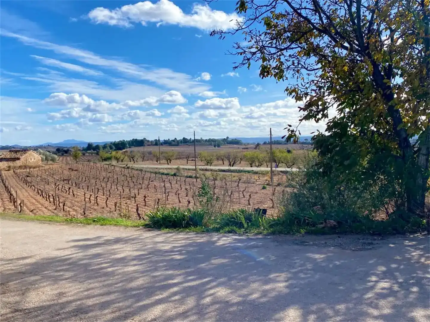 Finca rústica en venda en Requena amb Balcó