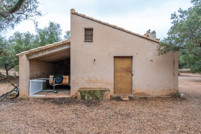 Terreno en Venta en Cami de Pandorga, 1 en Roquetes