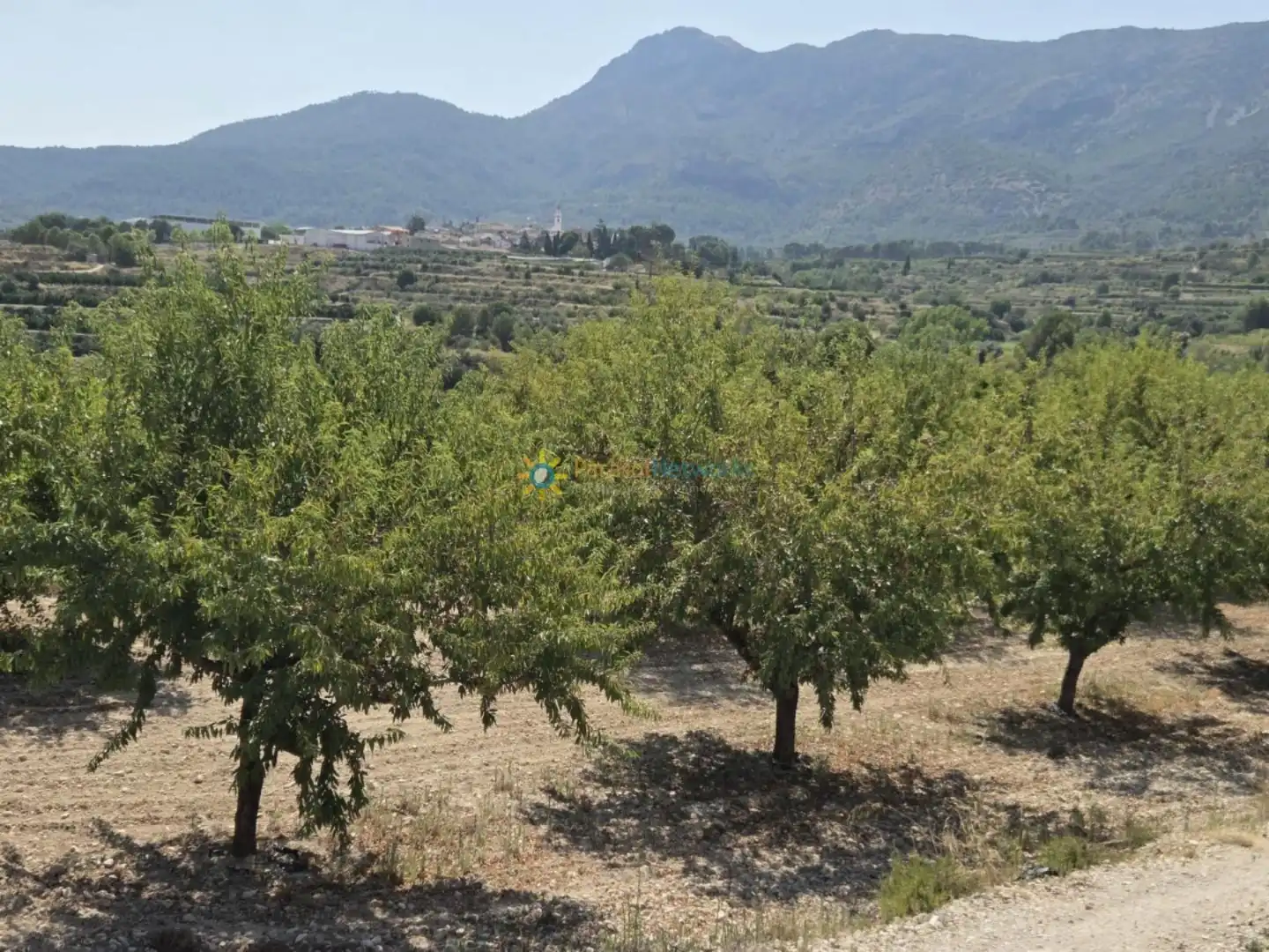 Finca rústica en venta en Bélgida con Jardín privado y Trastero