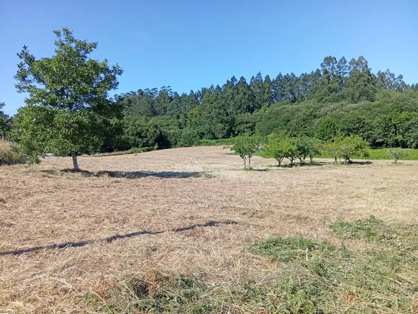 Terreni e lotti in vendita a Lugar BARREIRAS, imagen 13