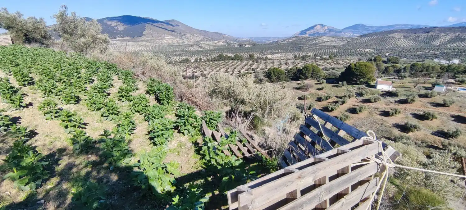 Casa rústica en venda a Puente Jontoya - Puente de la Sierra - El Arroyo, imagen 16