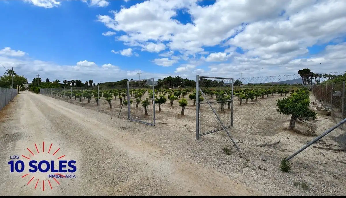 Terreno rústico en venta en Jacarilla, imagen 12