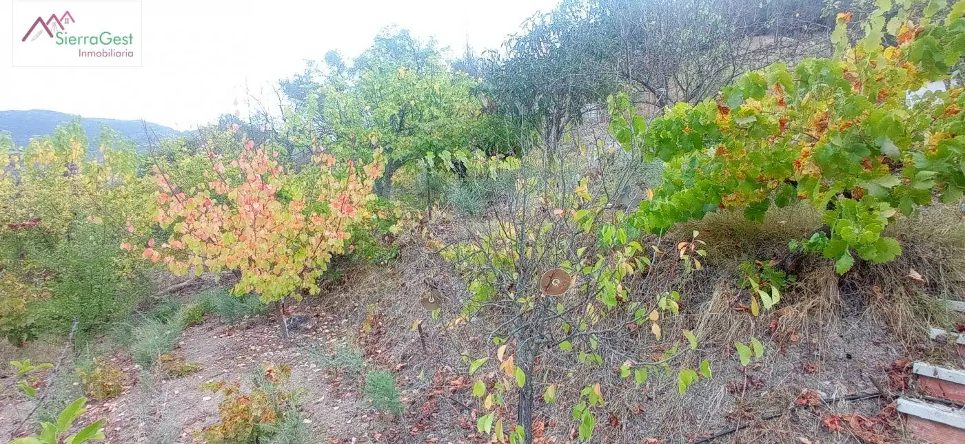Terreni e lotti in vendita a Benaocaz, imagen 19