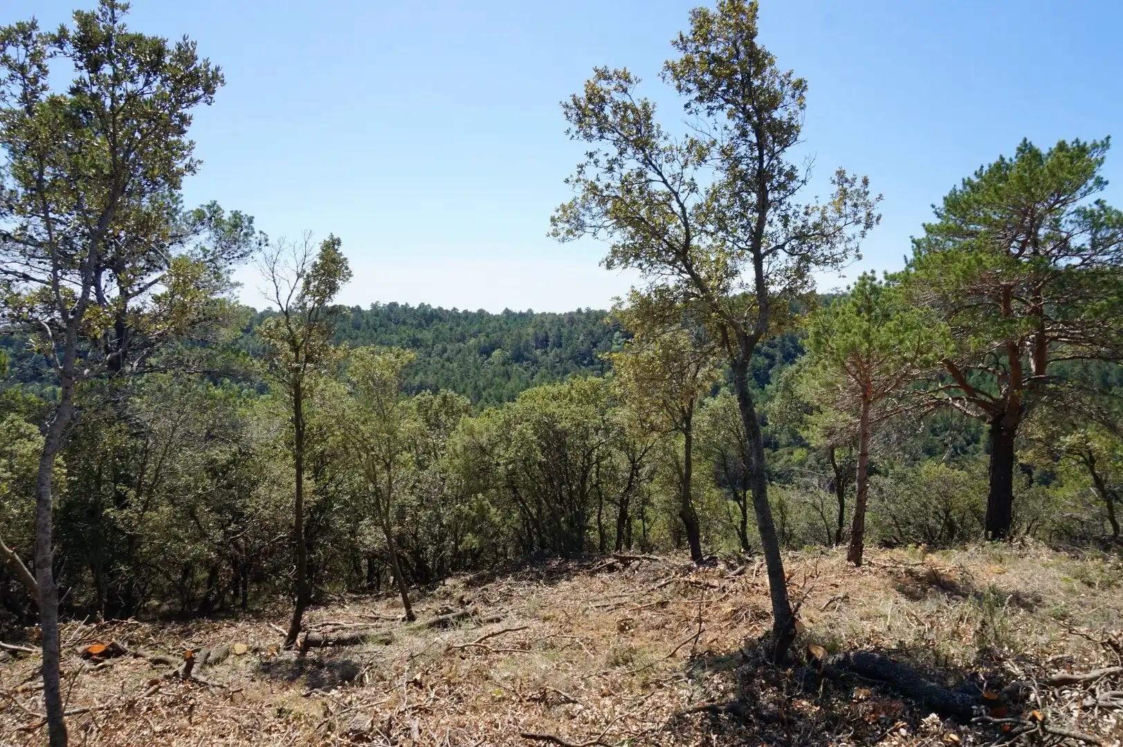Terreno rústico en venta en La Serreta, imagen 19