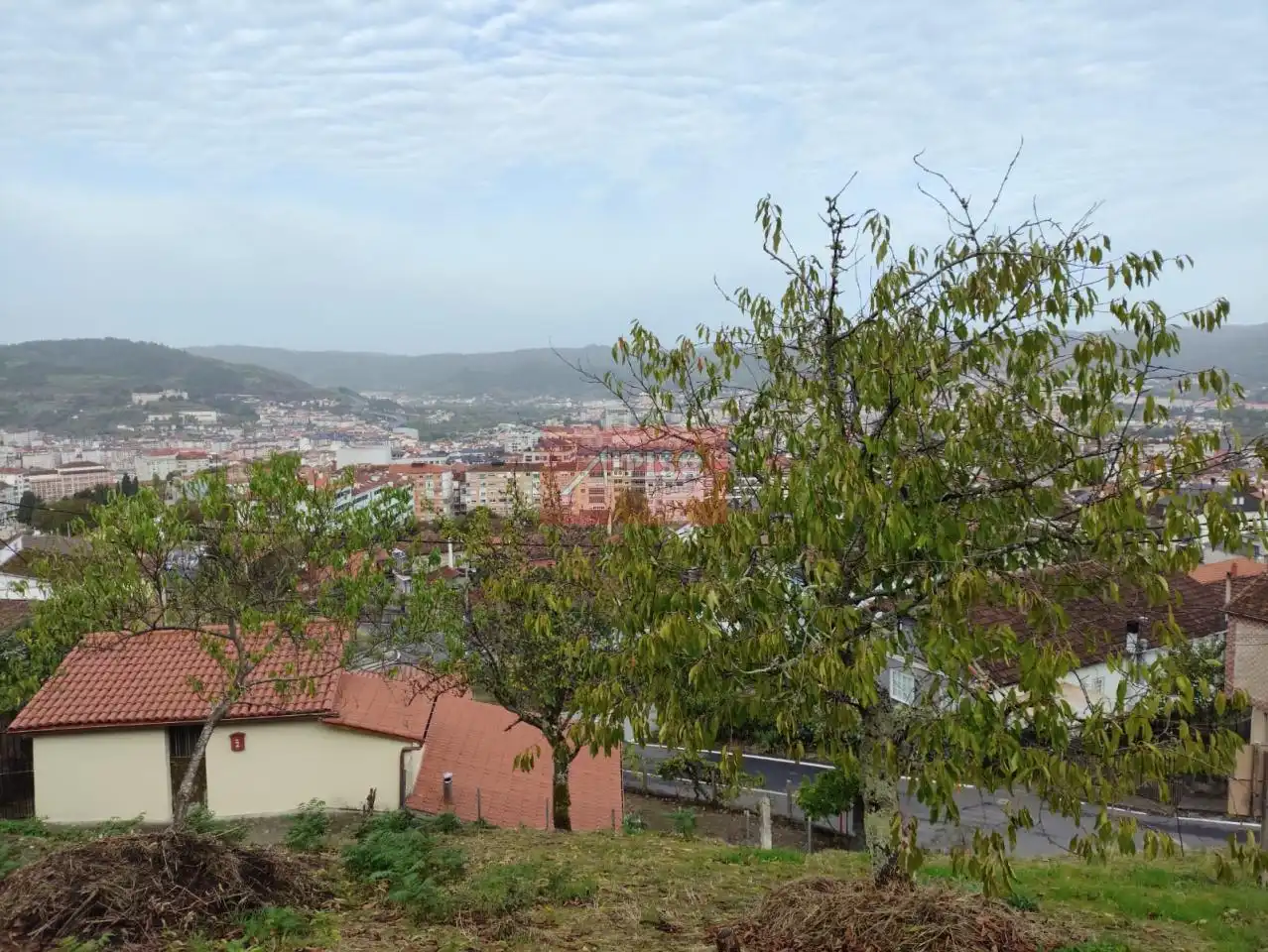 Exterior view of Houses for sale in Ourense Capital   with Private garden