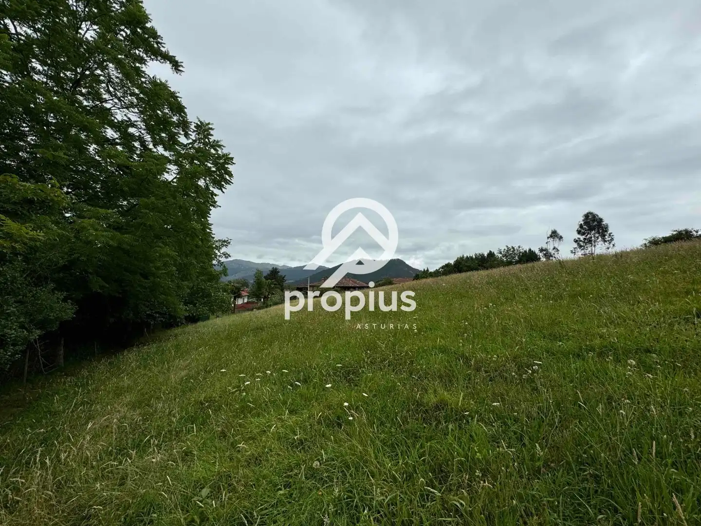 Rural land for sale in Arenas, imagen 9