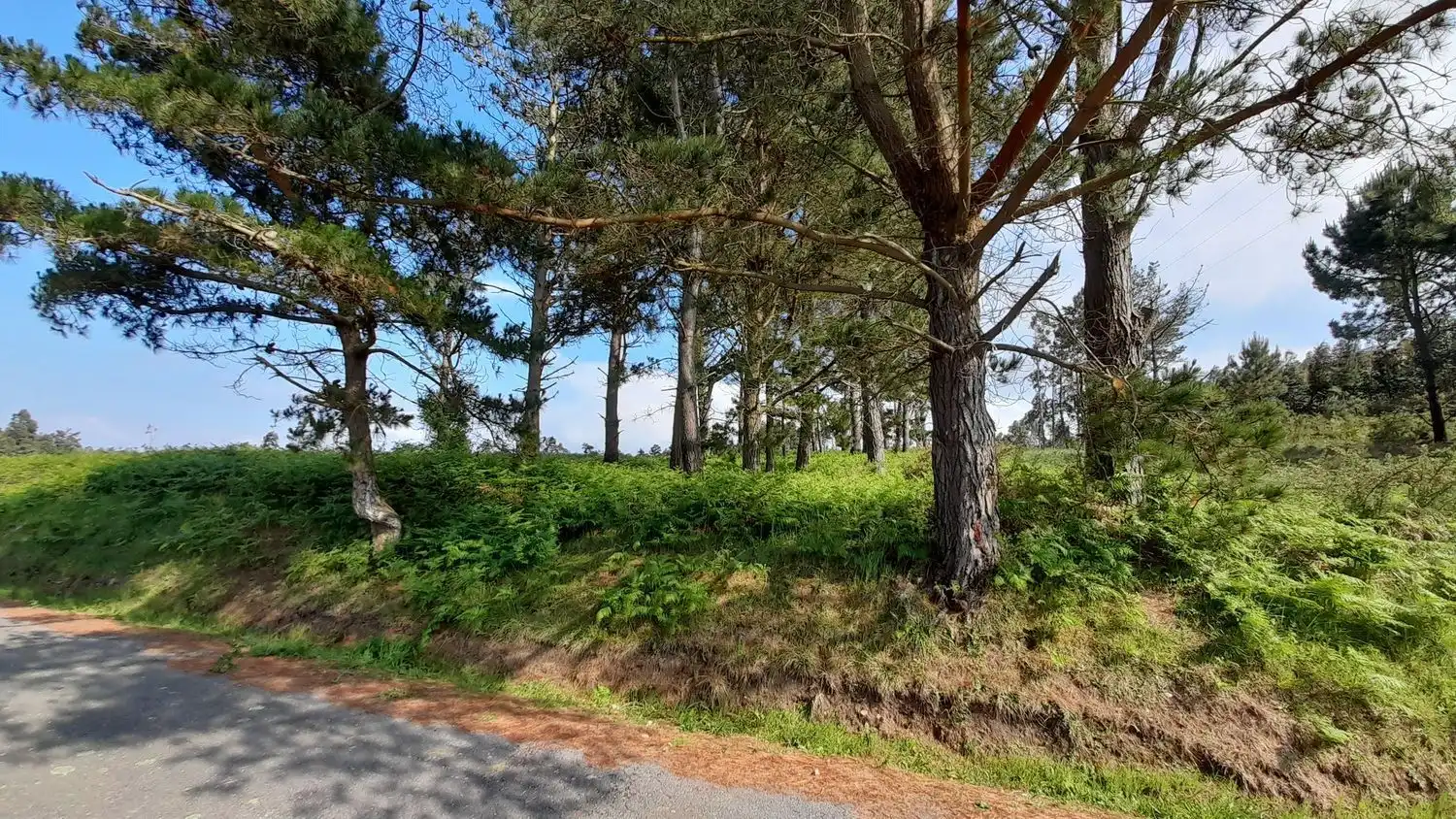 Rural land for sale in Lugar Val Arriba 3, imagen 15