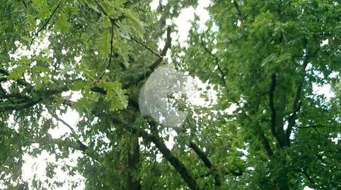 Foto 3 de Casa adosada en venta en Comarcal, Taboadela, Ourense