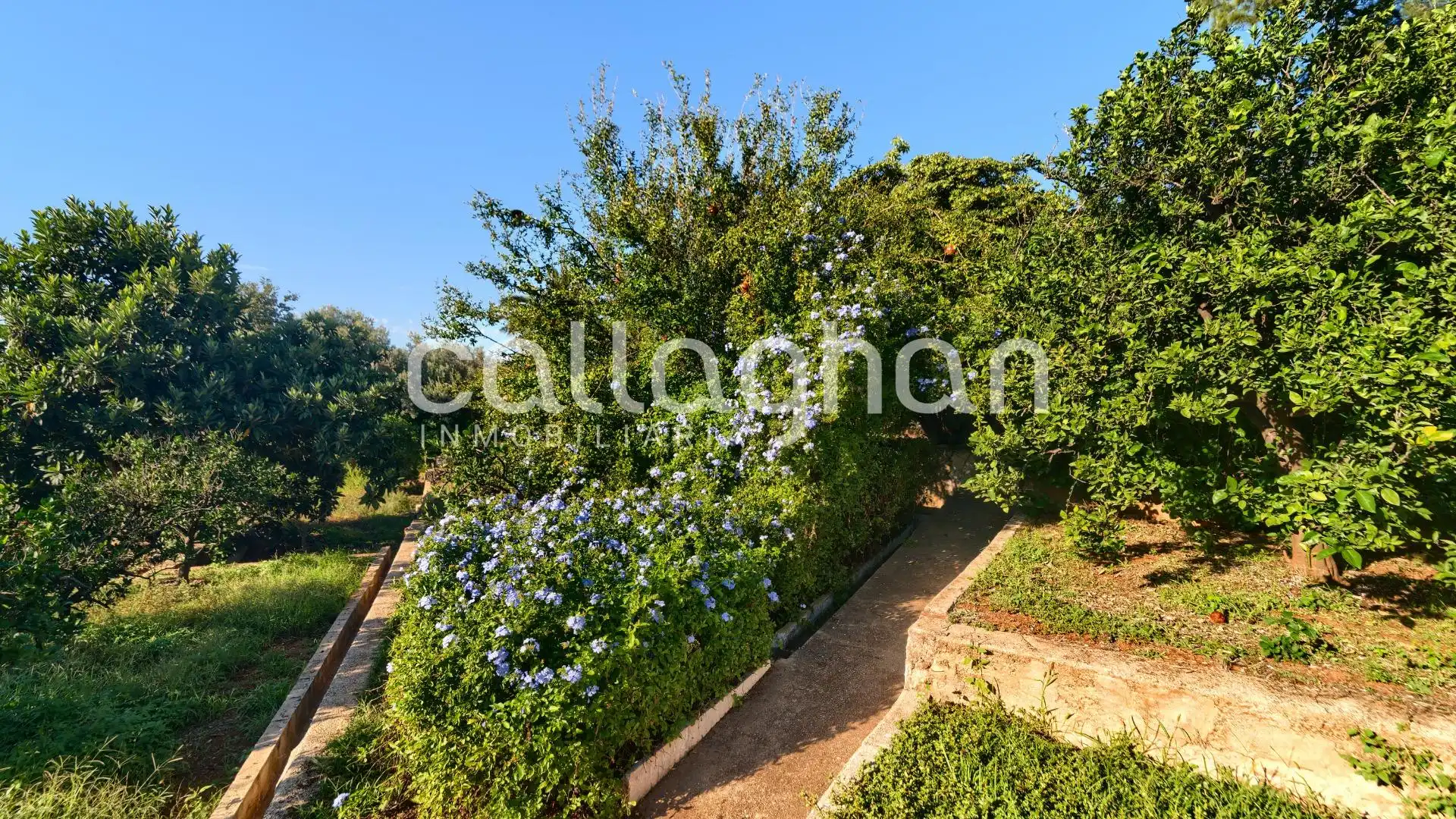 Jardín de Casa o chalet en venta en Alzira con Aire acondicionado, Calefacción y Jardín privado