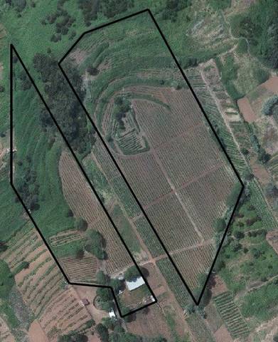 Terreno en Venta en El Sauzal