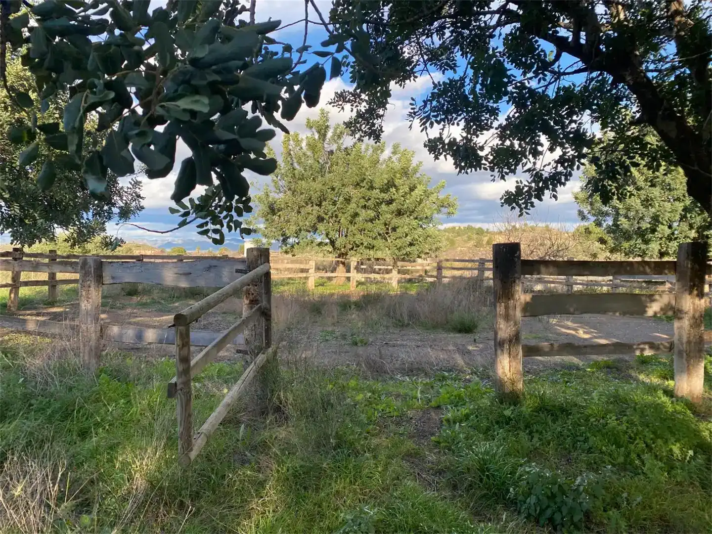 Finca rústica en venta en Llíria