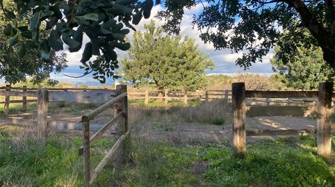 Foto 5 de Finca rústica en venta en Santa Bárbara, Llíria