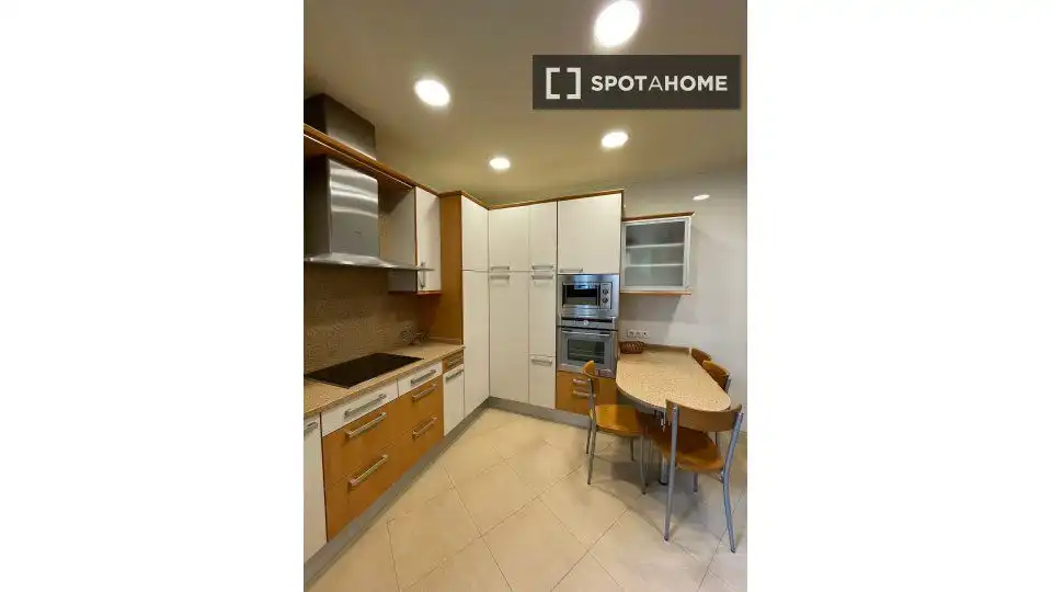 Cocina de Piso para compartir en Bilbao  con Aire acondicionado y Terraza