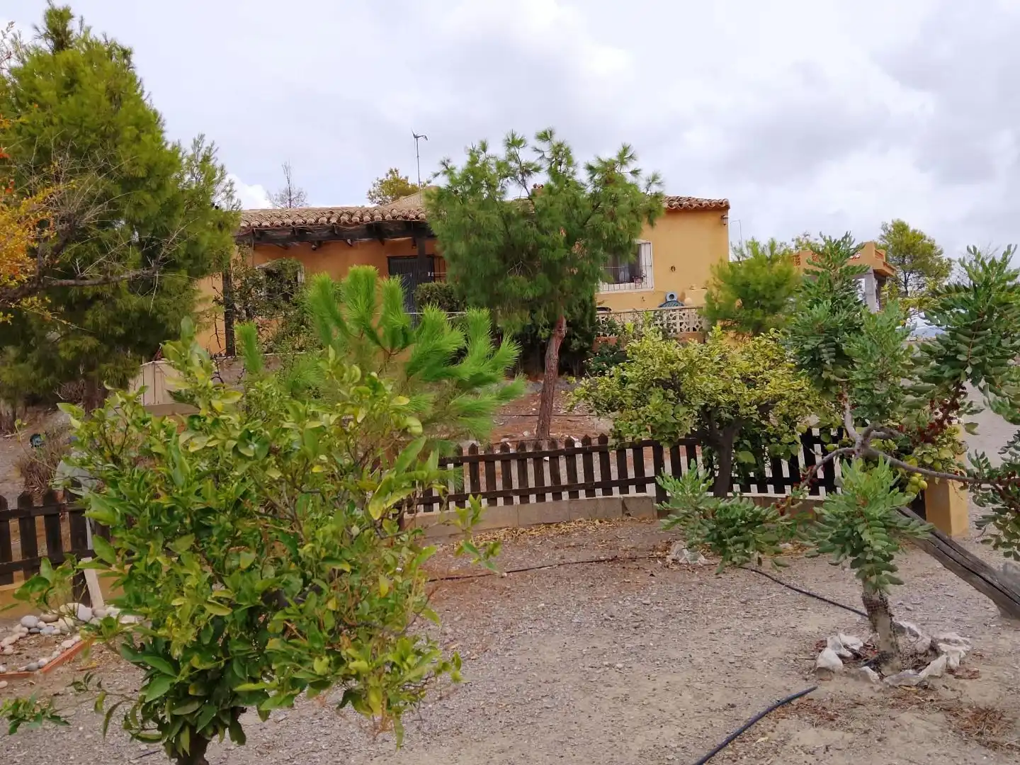 Garden of Houses for sale in Águilas  with Terrace