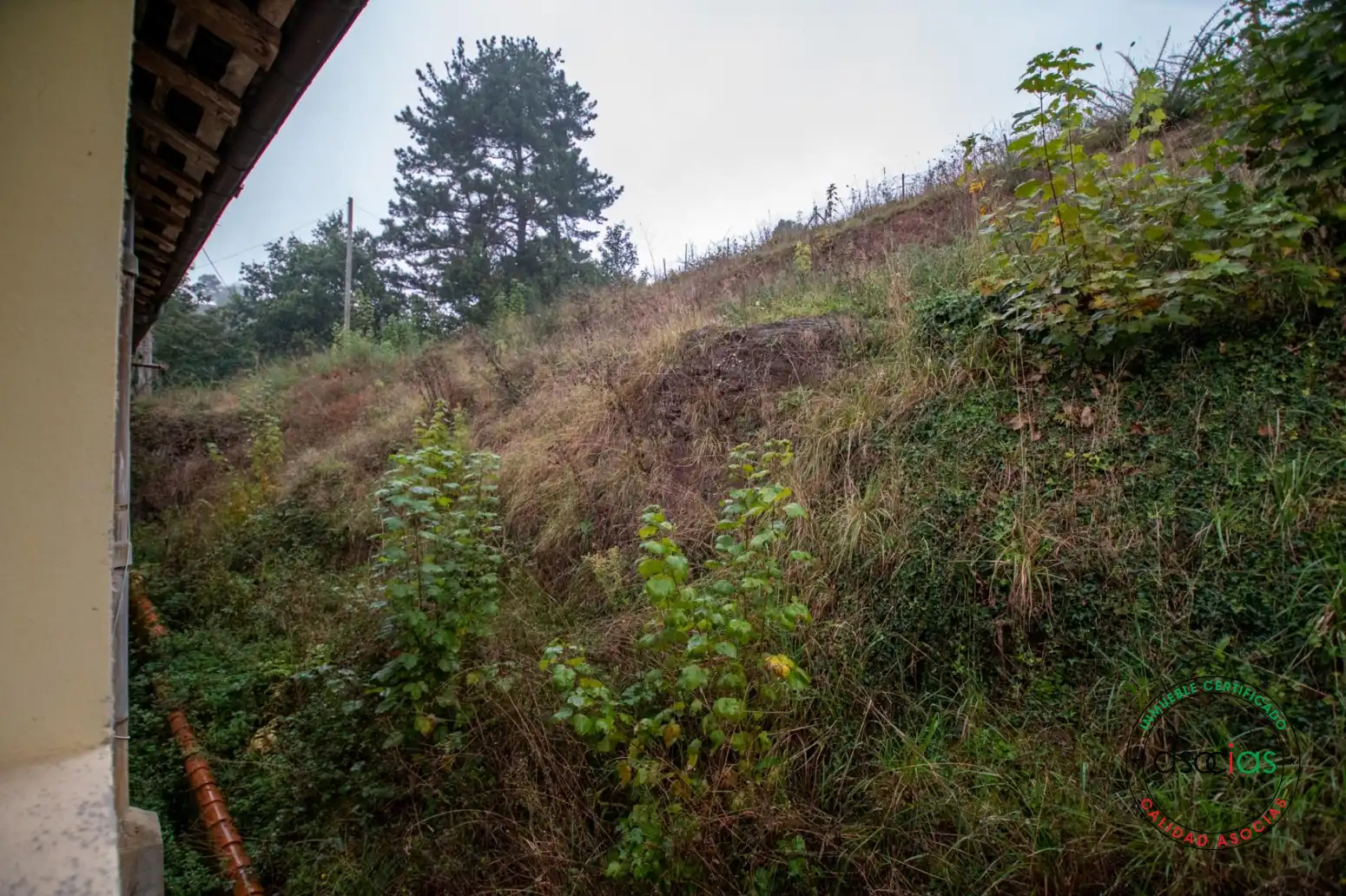 Casa o xalet en venda en Cabranes amb Calefacció, Jardí privat i Parquet