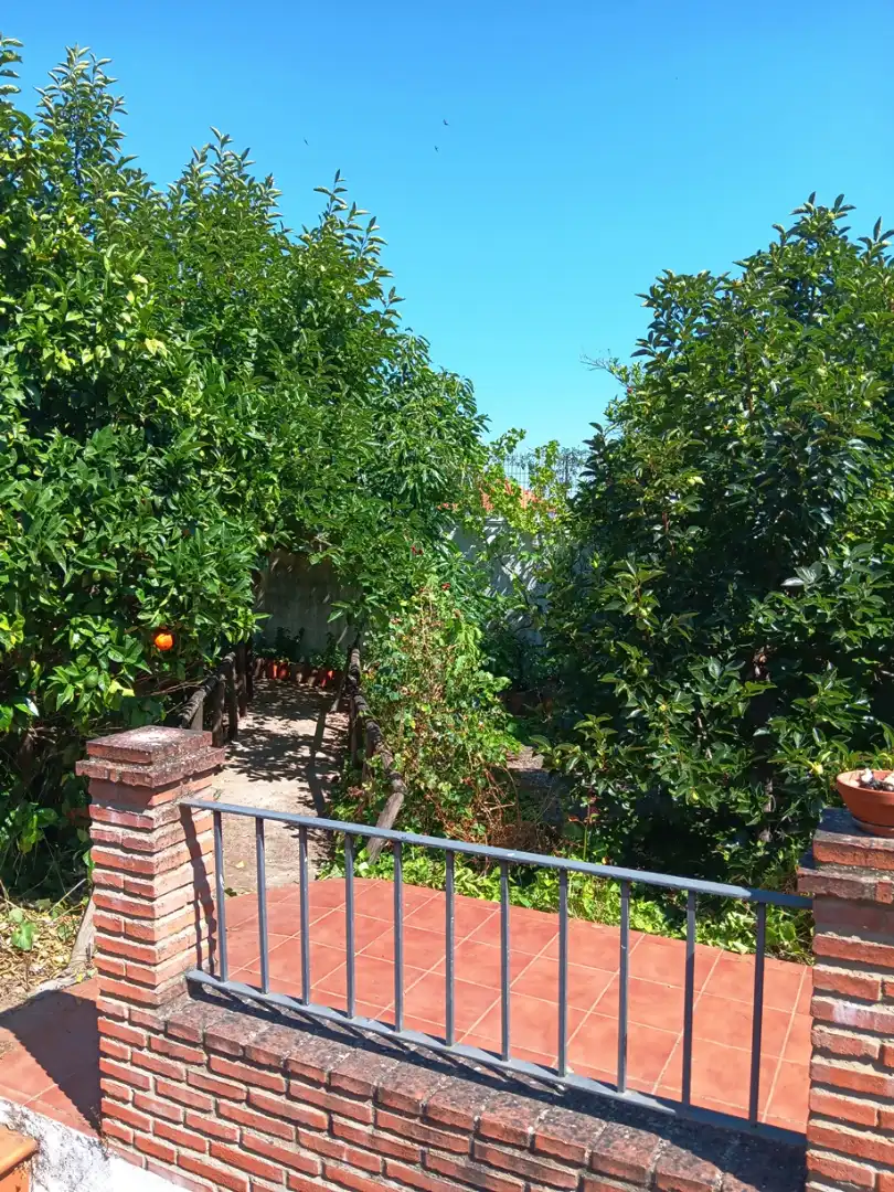 Garten von Haus oder Chalet zum Verkauf in Cortegana mit Privatgarten und Abstellraum
