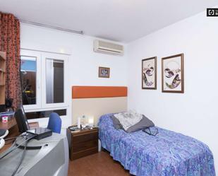 Flat to share in Pradolongo