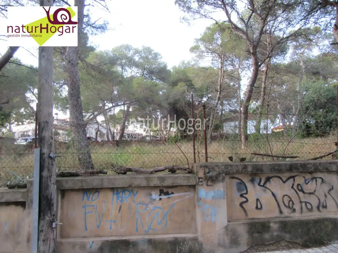 Terreny residencial en venda a La Cañada, imagen 5