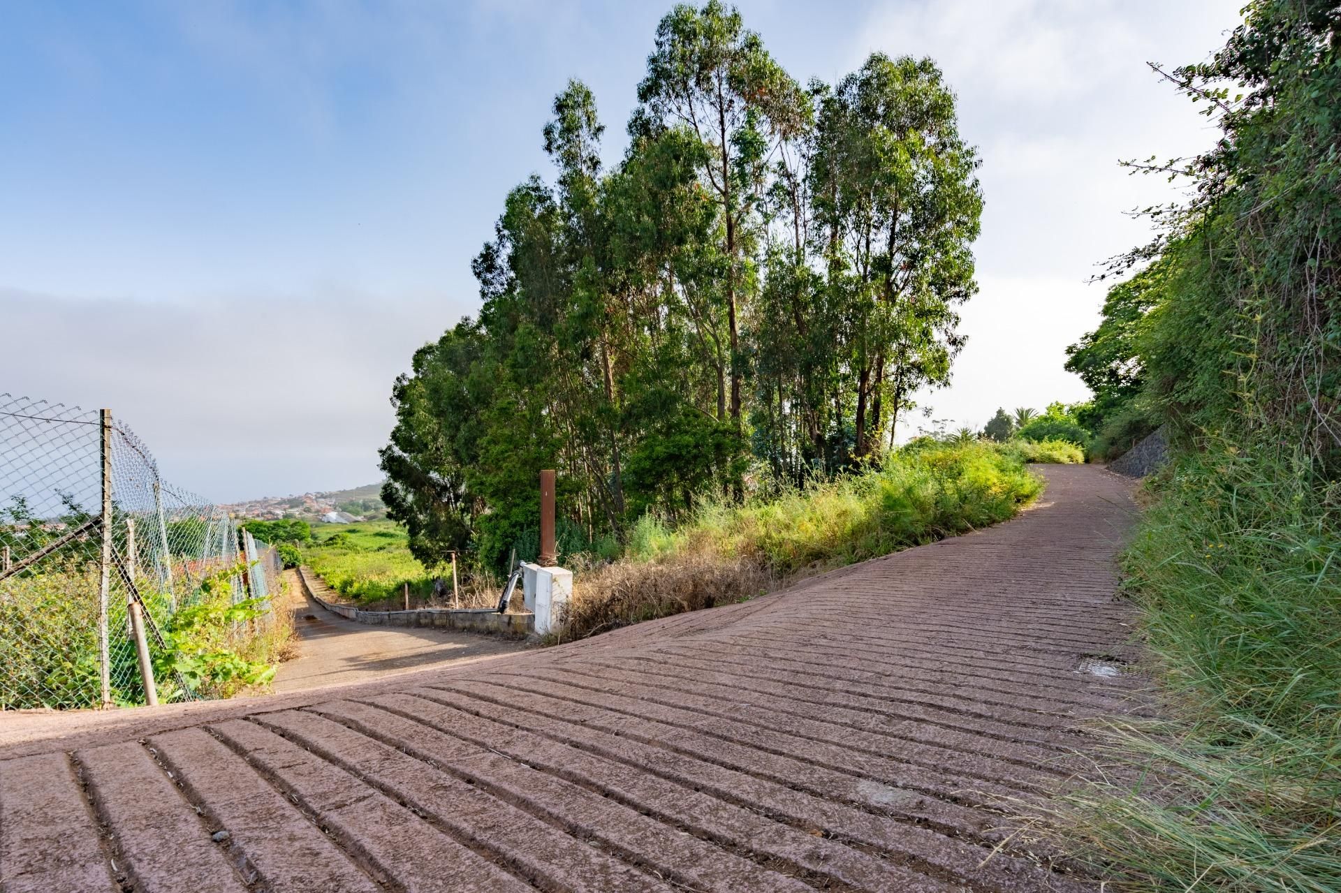 Vista exterior de Terreno en venta en Tacoronte