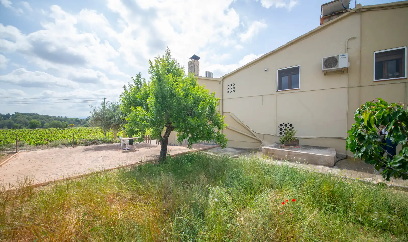 Haus mit Terrasse zum Verkauf in Cami Cal Margarit 45, imagen 47