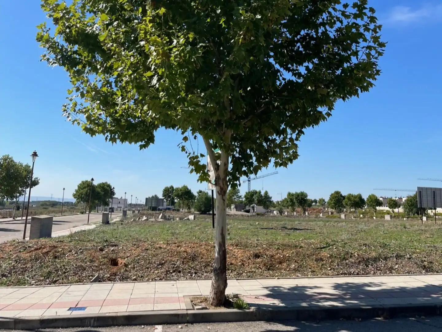 Terreny residencial en venda a Calle Jadraque 77, imagen 6