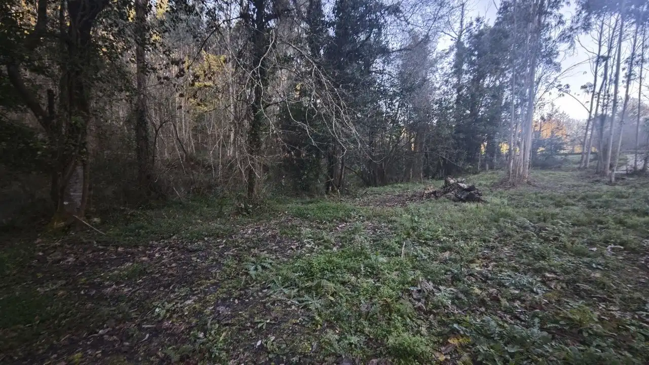 Terreno rustico in vendita a Pría - Nueva-Hontoria - Naves, imagen 5