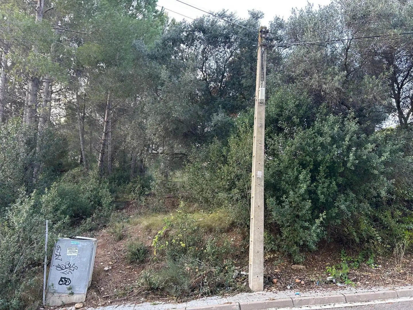 Rustikales Grundstück zum Verkauf in CAN FELIU, imagen 6
