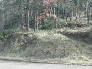 Terreny residencial en venda a Tavèrnoles