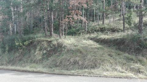 Imagen 1 del anuncio