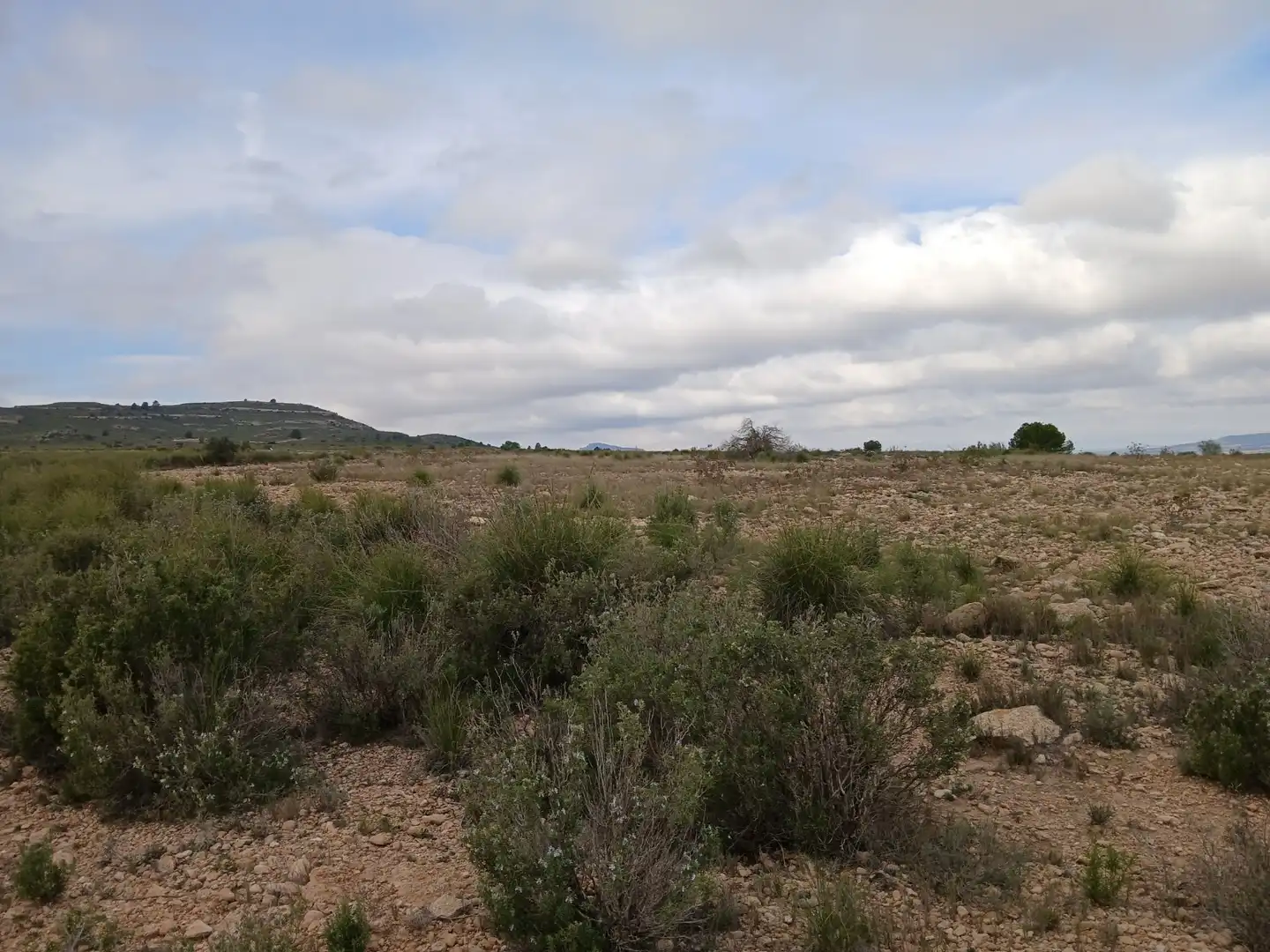 Residential land for sale in Yecla, imagen 9
